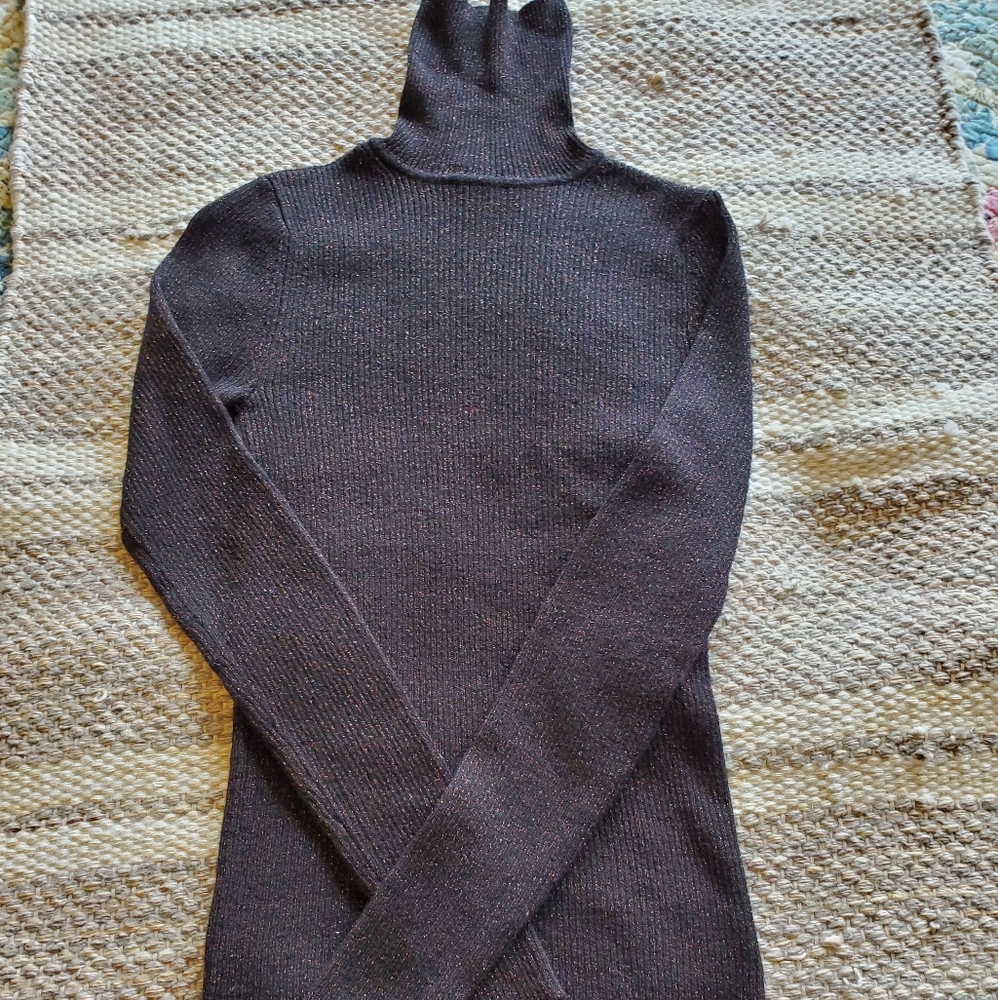 Express Ribbed Turtleneck